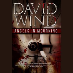 Angels In Morning, A Noir P.I. Mystery, Audio Book